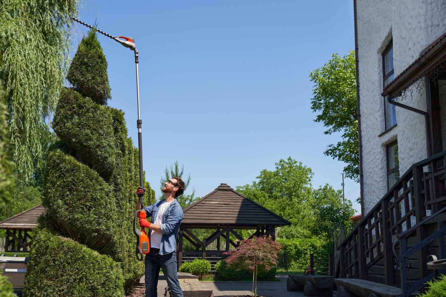 Palm Tree Trimming in Preston, MN